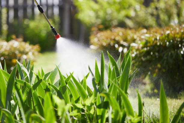 24/7 Emergency Ant Control experts in Tower Lakes, IL