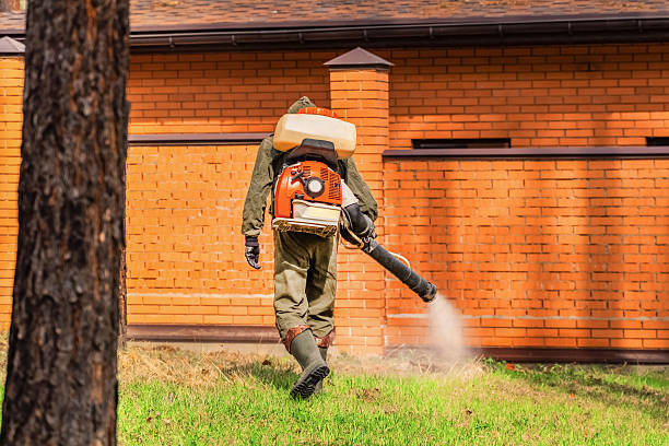 Top rated local Ant Control specialists in Tower Lakes, IL